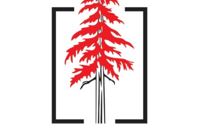 Redwood Chartered Accountants and Tax Advisers